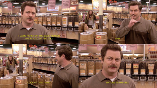 Buy the Pie.jpg